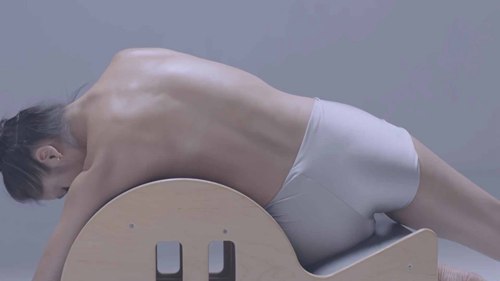 芭蕾舞解剖学——肌肉