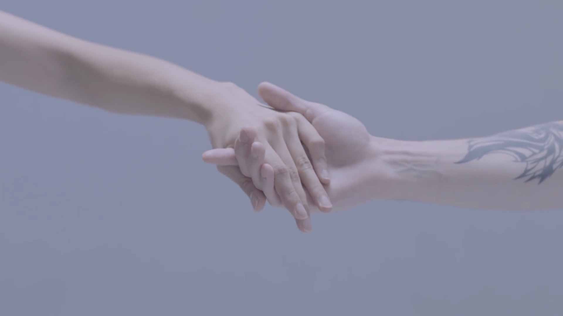 芭蕾舞解剖学——手