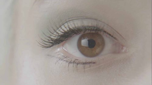 芭蕾舞解剖学——眼睛