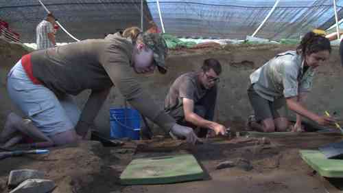 发掘过程——挖掘现场