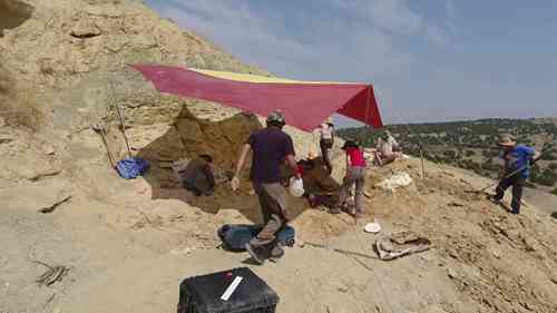 发现侏罗纪晚期化石遗址