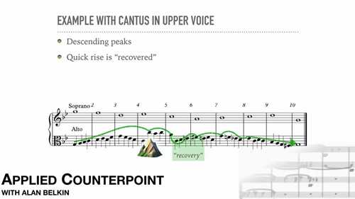 对位法 05 三类对位