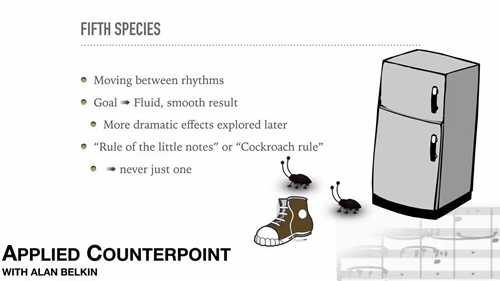 对位法 07 五类对位