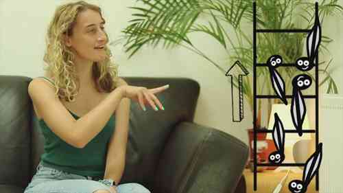 如何读乐谱中的音高