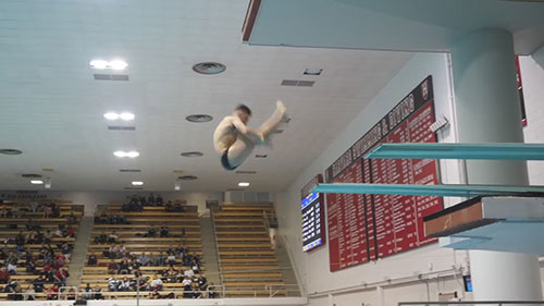 哈佛大学游泳和跳水队的训练