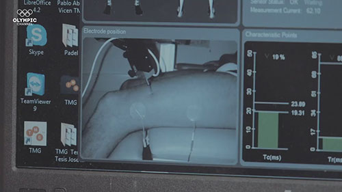 运动员肌肉分析