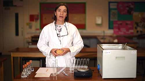 A-LEVEL生物必考实验2