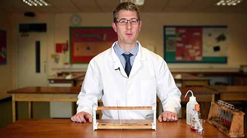 A-LEVEL生物必考实验3