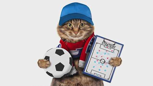 中小企业体育营销策略