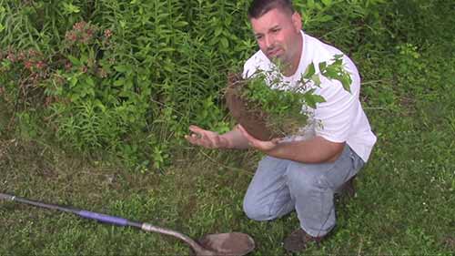 生物科学示范课1-土壤栖息地