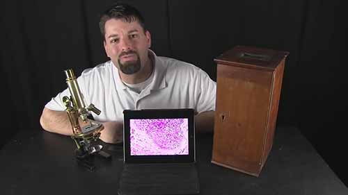 生物科学示范课9-细胞组织和器官