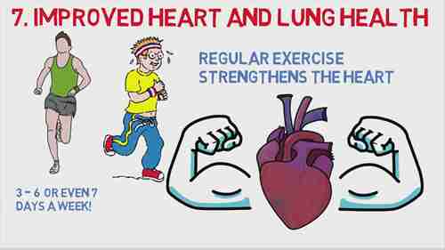 锻炼对身体和大脑的好处