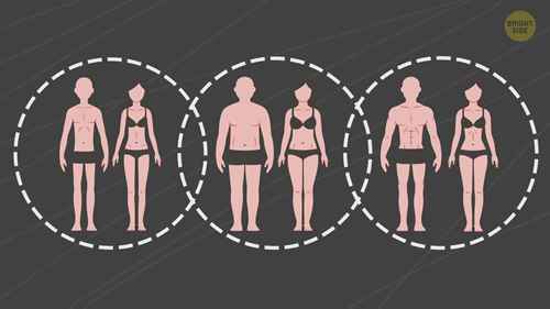 体型决定了你的健身方式