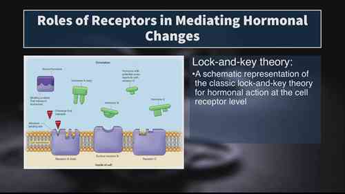认证体能训练师考试 10