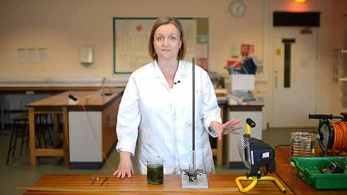 GCSE生物必考实验4