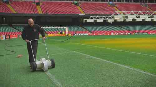 加迪夫千年球场如何养护