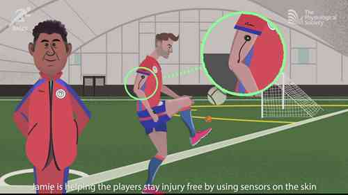 什么是体育与运动科学