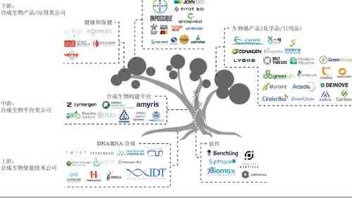 合成生物学专题报告之一