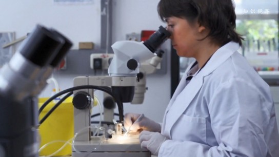 鸡蛋与肠易激综合征