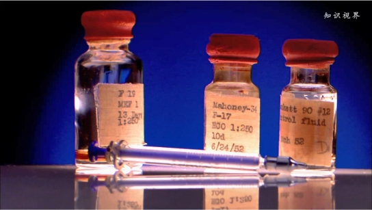 乔纳斯·索尔克与脊髓灰质炎疫苗