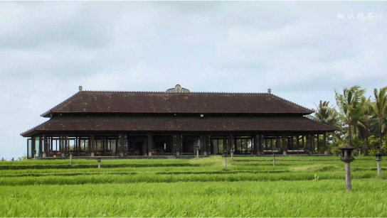 切迪俱乐部：从家到度假村