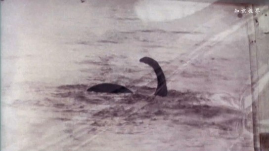 尼斯湖水怪之谜