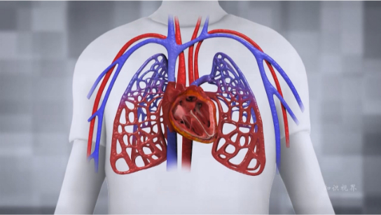 心脏移植的迫切需求