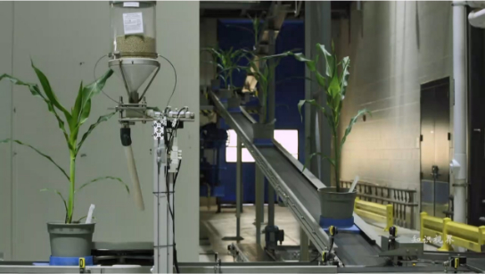 基因编辑技术在农业中的应用