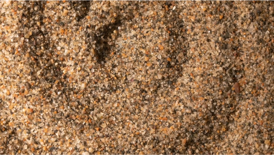 沙子的不凡人生