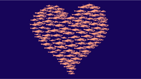 动物为什么集群