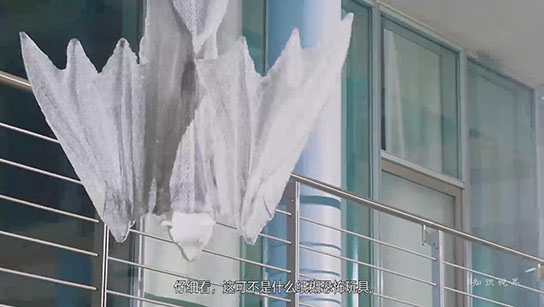 仿生蝙蝠机器人