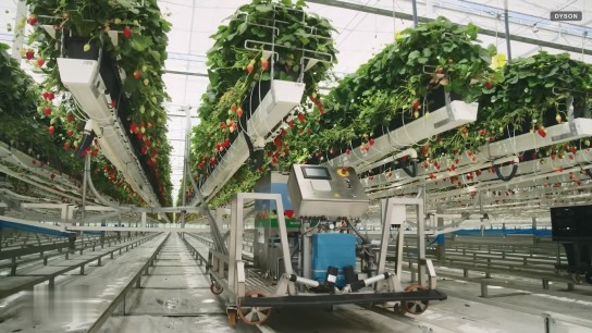 循环农场大揭秘