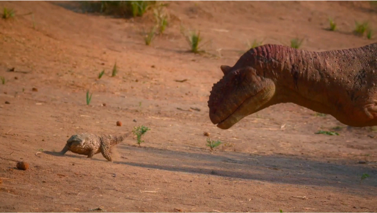 狮鼻鳄VS玛君龙