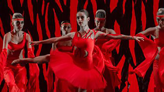 Bolero